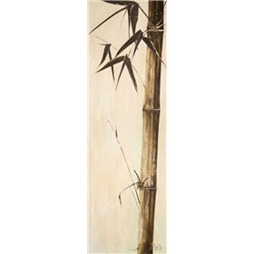 Sepia Guadua Bamboo II - Cuadrostock