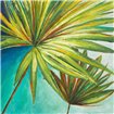 New Palmera II - Cuadrostock