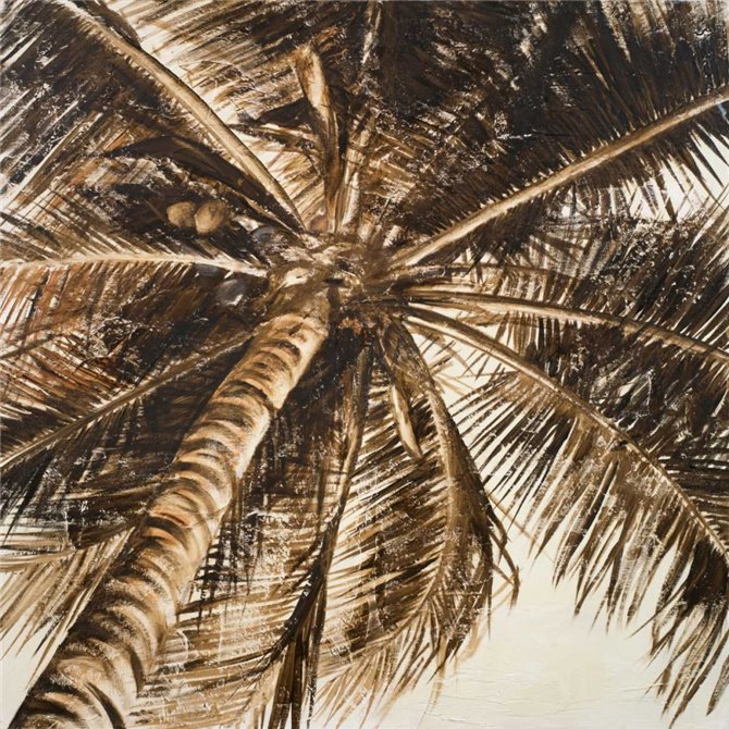 Coconut Palm II - Cuadrostock