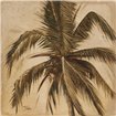 Sepia Palm III - Cuadrostock