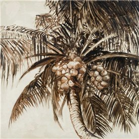 Coconut Palm I - Cuadrostock
