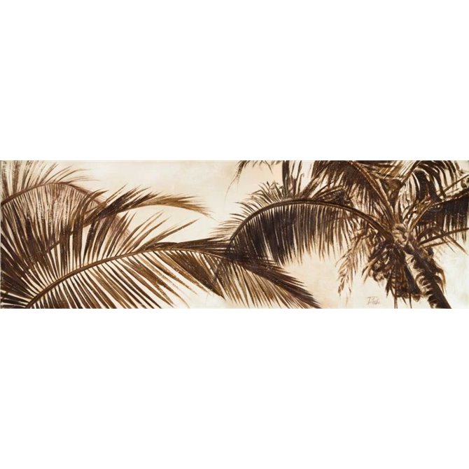 Coconut Palms - Cuadrostock