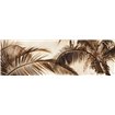 Coconut Palms - Cuadrostock