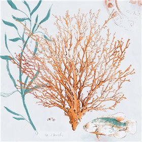 Blue Coral Medley II - Cuadrostock