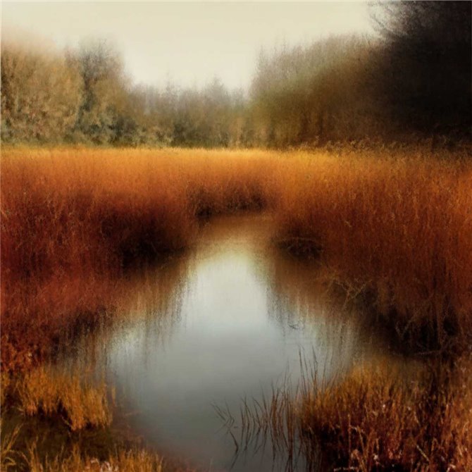 Sunlit Pond II - Cuadrostock