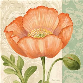 Pastel Poppies II - Cuadrostock