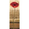 Poppy Panel II - Cuadrostock