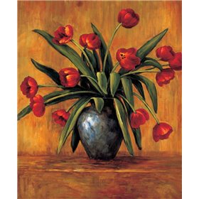 Red Tulips - Cuadrostock