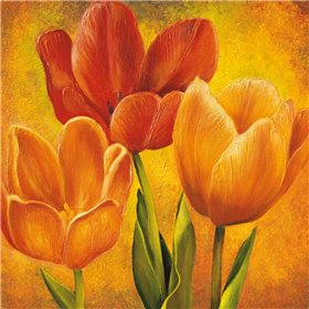 Orange Tulips I - Cuadrostock