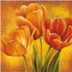 Orange Tulips II - Cuadrostock