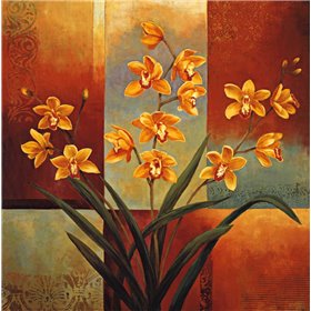 Orange Orchid - Cuadrostock