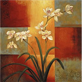 White Orchid - Cuadrostock