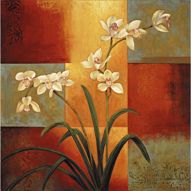 White Orchid - Cuadrostock