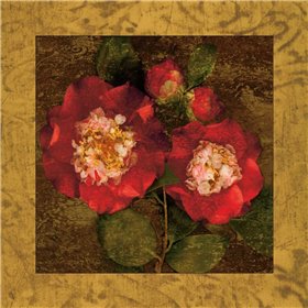 Red Camellias II - Cuadrostock
