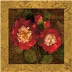 Red Camellias II - Cuadrostock