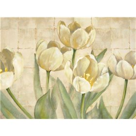 White Tulips on Ivory - Cuadrostock