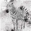 Zebra I - Cuadrostock