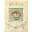 Classic Scallop - Cuadrostock