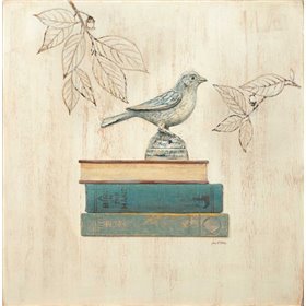 Aviary Library - Cuadrostock