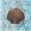 Scallop Fossil - Cuadrostock