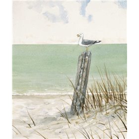Seaside Perch - Cuadrostock