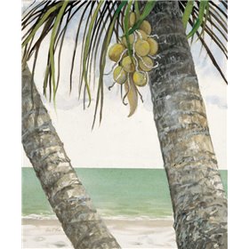 Seaside Coconuts - Cuadrostock