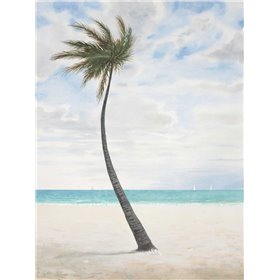 Breezy Palm 1 - Cuadrostock