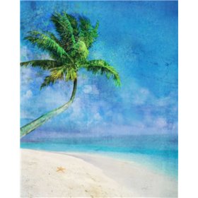 Palm Beach and Starfish - Cuadrostock