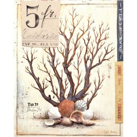 Coral No.3 Sketchbook - Cuadrostock