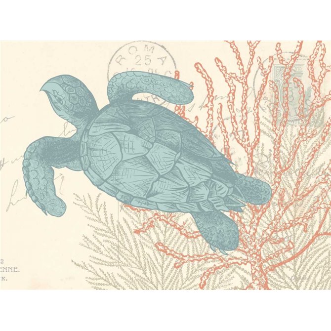 Sea Turtle - Cuadrostock