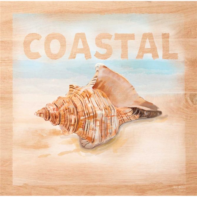 Natural Ocean Coastal - Cuadrostock