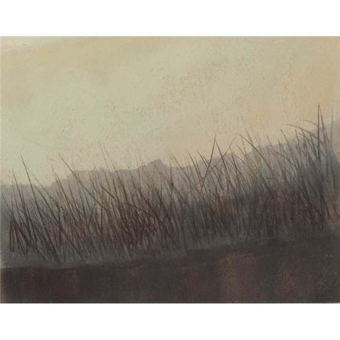 Marshland Grasses - Cuadrostock