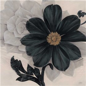 Blossom and Succulent Black - Cuadrostock