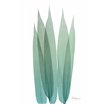 Radiant Bamboo Leaf 1 - Cuadrostock