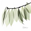 Cuadro para dormitorio - Camelia Leaf In White - Cuadrostock