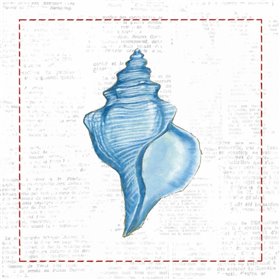 Navy Conch Shell on Newsprint with Red - Cuadrostock