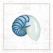 Navy Nautilus Shell on Newsprint with Red - Cuadrostock