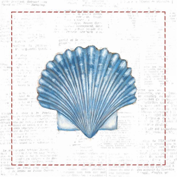 Navy Scallop Shell on Newsprint with Red - Cuadrostock