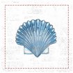 Navy Scallop Shell on Newsprint with Red - Cuadrostock