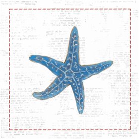 Navy Starfish on Newsprint with Red - Cuadrostock