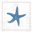 Navy Starfish on Newsprint with Red - Cuadrostock