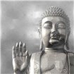 Silver Buddha - Cuadrostock