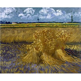 Wheat Field with Sheaves - Cuadrostock