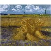 Wheat Field with Sheaves - Cuadrostock