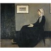 Portrait of The Artists Mother - Arrangement In Gray and Black No.1 - Cuadrostock