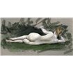 Reclining Nude - Cuadrostock