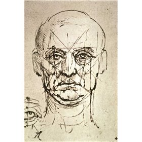 Proportions of the Face - Cuadrostock
