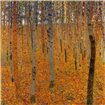 Beech Forest I 1902 - Cuadrostock