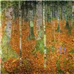 Birch Wood 1903 - Cuadrostock