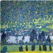 Forest Slope In Unterach On The Attersee 1917 - Cuadrostock